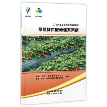 草莓技术服务体系集成 现代农业技术服务体系集成 国家
