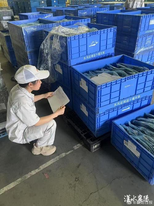 技术创新与管理升级双轮驱动，打造卓越汽车产品与服务新标杆